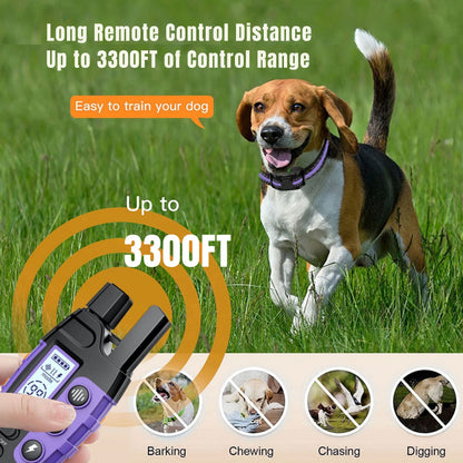 Purple TrendyPet's Zone dog training shock collar with remote, waterproof, rechargeable, for small to large dogs 5-120 lbs.