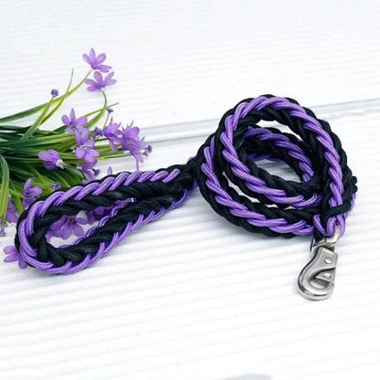 Purple Black Super Strong Coarse Nylon Dog Leash Double Row Adjustable Collar For Medium Large Dogs - TrendyPet's Zone