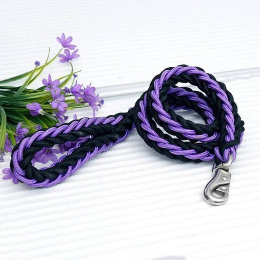 Purple Black Super Strong Coarse Nylon Dog Leash Double Row Adjustable Collar For Medium Large Dogs - TrendyPet's Zone