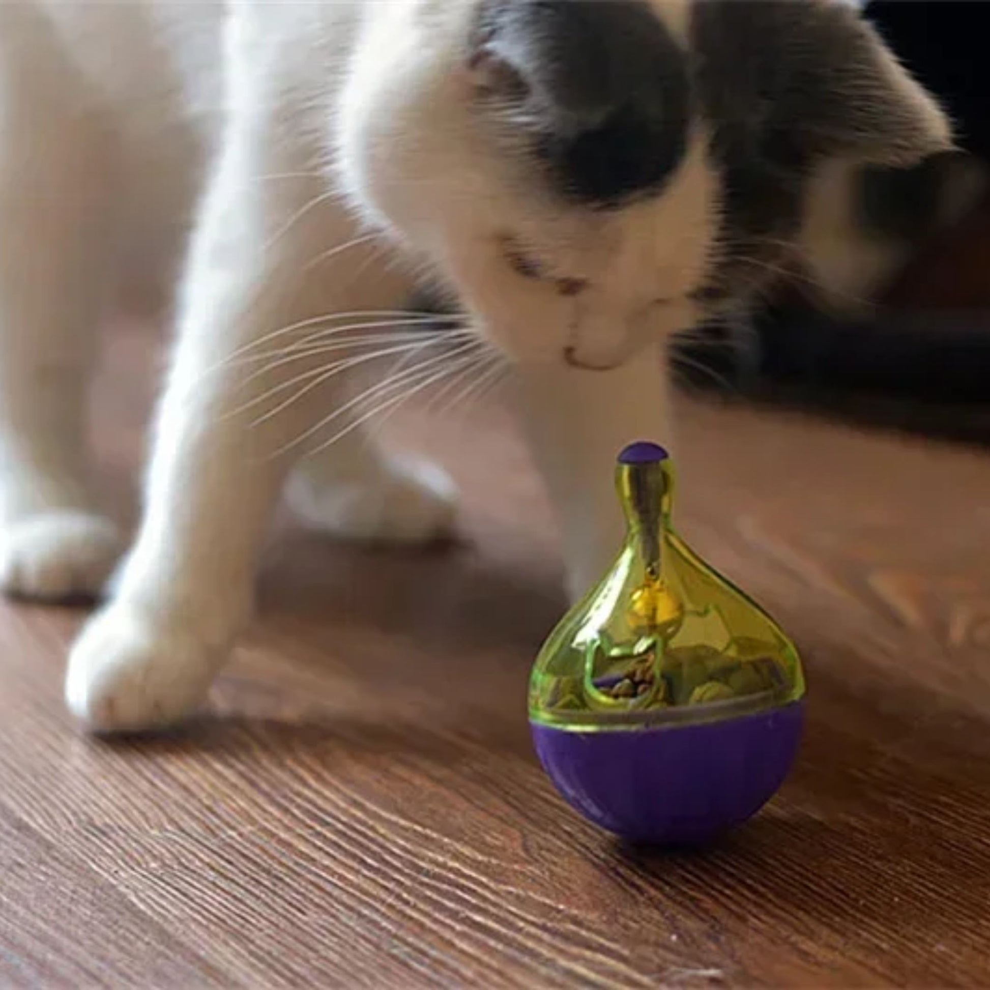 Purple Cat Food Bone Toy - Interactive Treat Ball for Cats TrendyPet's Zone