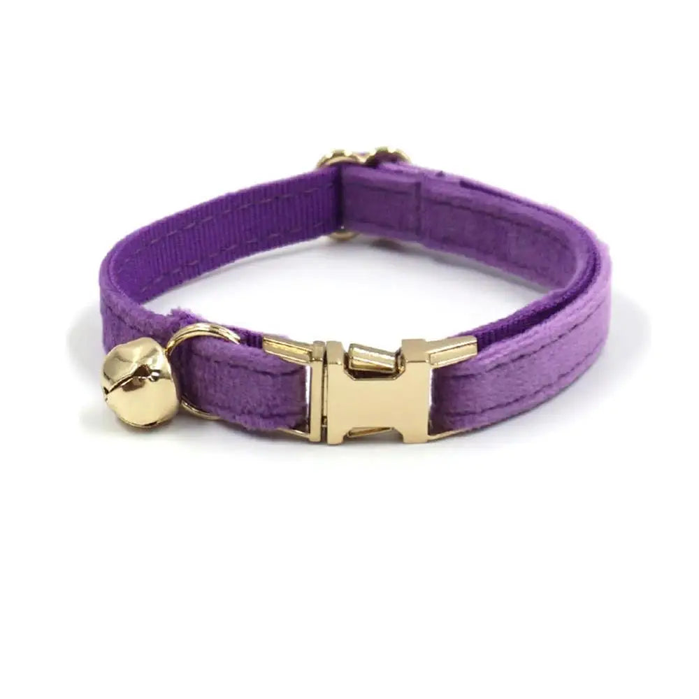 Purple TrendyPet's Zone small dog collar with bell, personalized ID tag, suitable for puppies, kittens, and small dog breeds.