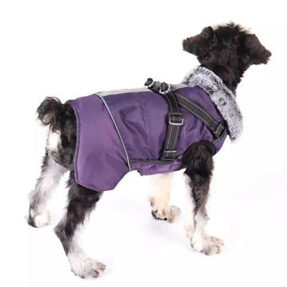 Purple cozy dog jacket with harness, weatherproof pet coat from TrendyPet's Zone, designed for outdoor warmth and comfort.