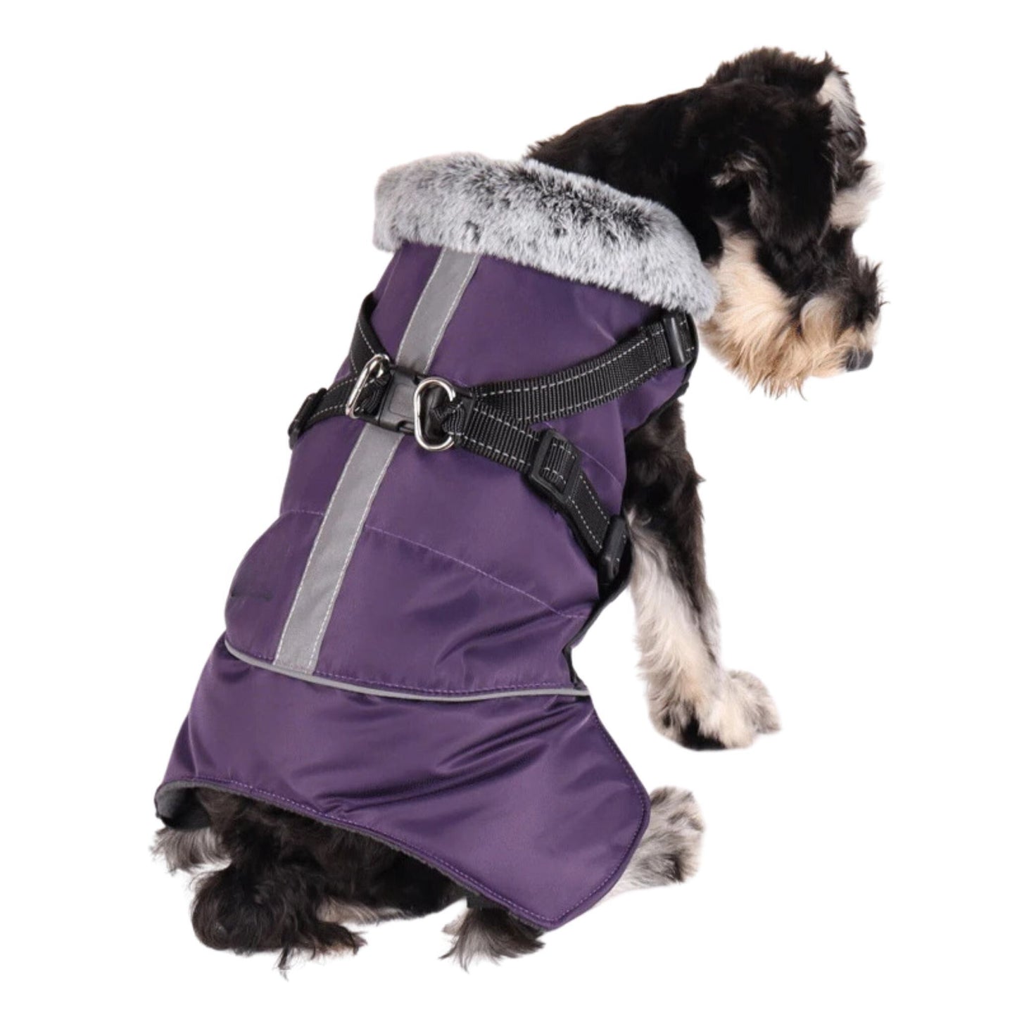 Purple TrendyPet's Zone cozy dog jacket with harness, weatherproof pet coat for warmth and protection.