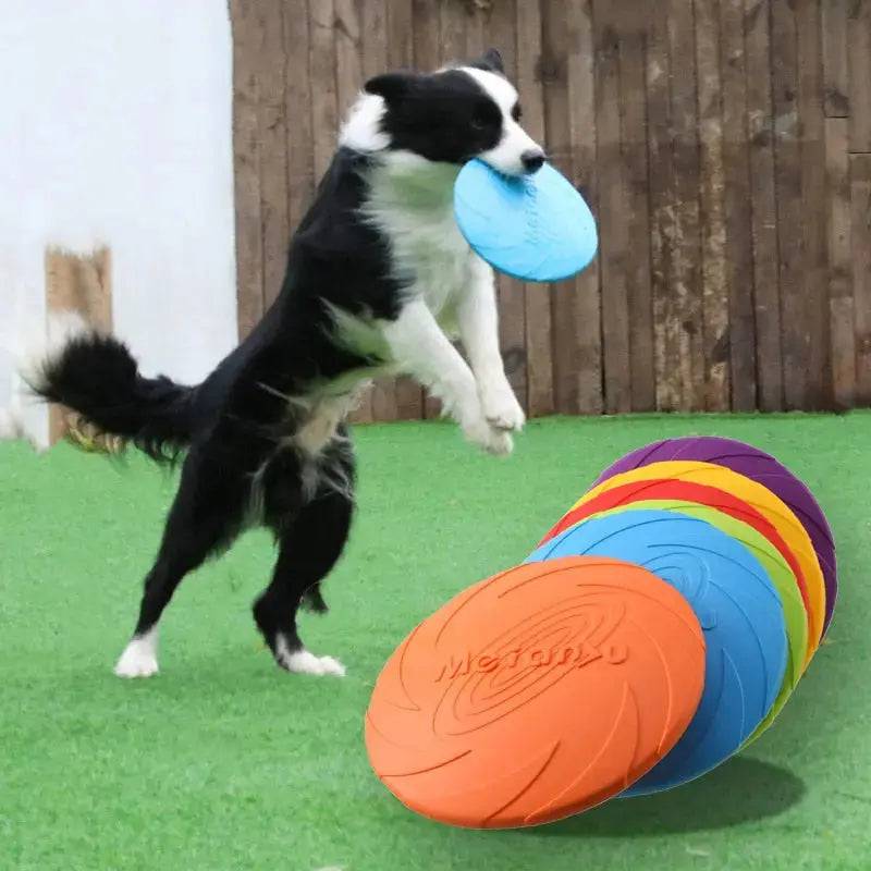 Purple Fashion Pet Dog Silicone Game Frisbeed Dog Toy Flying Discs Training Interactive Toys Pet Supplies Flying Disc 15/18/22cm - TrendyPet's Zone