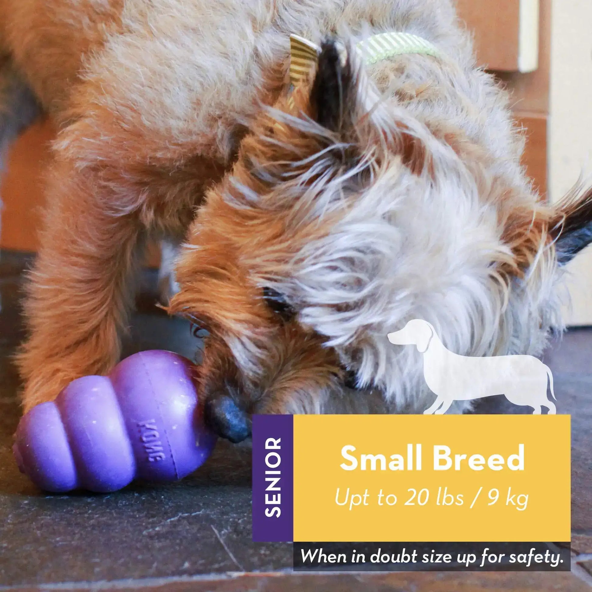 Purple KONG Senior Dog Rubber Toy for Fetch & Chew TrendyPet's Zone