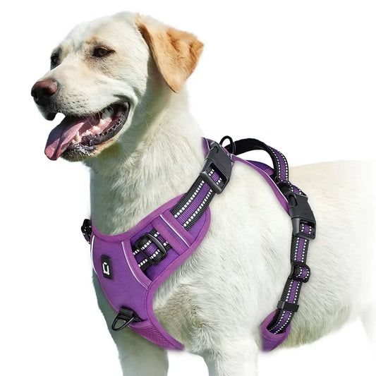Purple adjustable no-pull dog harness with easy control handle by TrendyPet's Zone, designed for comfortable and secure walking.