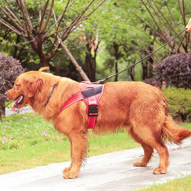 Purple Nylon Reflective Dog Harness Personalized Breathable With ID Patch - TrendyPet's Zone