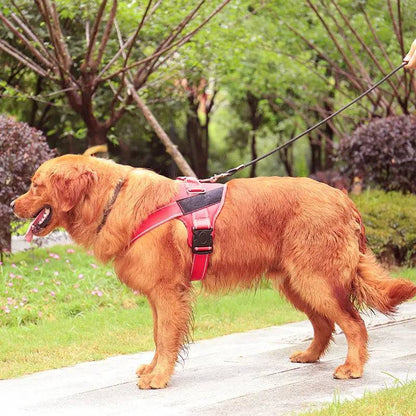 Purple Nylon Reflective Dog Harness Personalized Breathable With ID Patch - TrendyPet's Zone