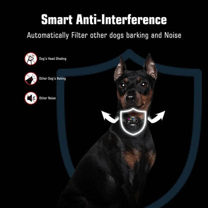 Purple Smart Anti Barking Collar for small to large dogs, rechargeable with 4 training modes and 8 adjustable sensitivities.