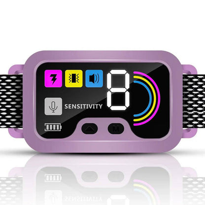 Purple Smart Anti Barking Collar for Small Medium Large Breed Dogs Rechargeable Puppy Bark Collar with 4 Training Modes & 8 Adjustable Sensitivity - TrendyPet's Zone