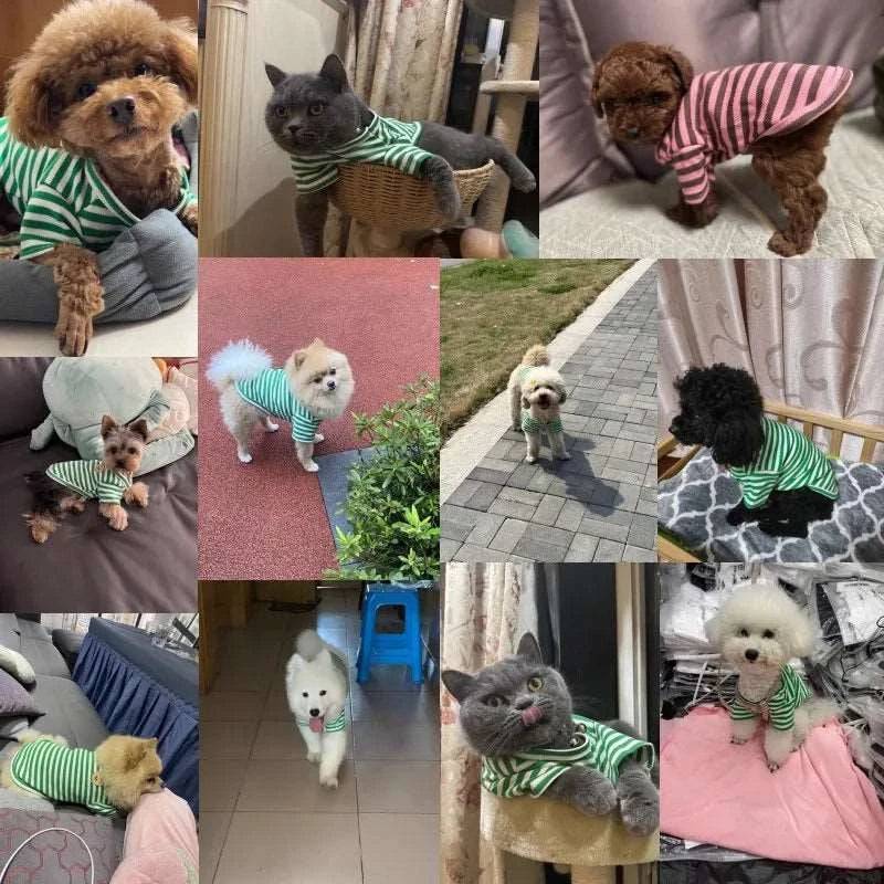 Purple Summer Clothes for Small Dogs Fashion T-Shirt Bear Print Puppy Thin Strip Vest Pet Clothes - TrendyPet's Zone
