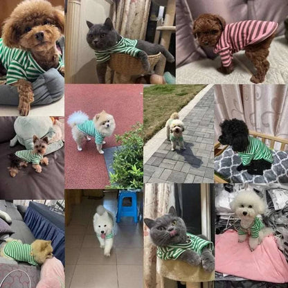 Purple Summer Clothes for Small Dogs Fashion T-Shirt Bear Print Puppy Thin Strip Vest Pet Clothes - TrendyPet's Zone