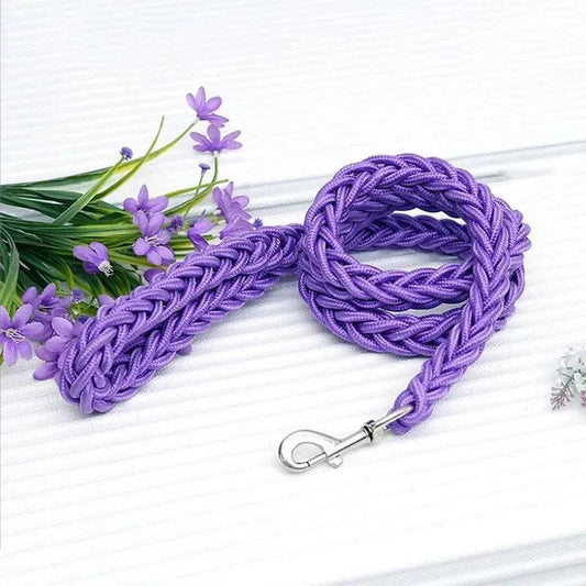 Purple Super Strong Coarse Nylon Dog Leash Double Row Adjustable Collar For Medium Large Dogs - TrendyPet's Zone