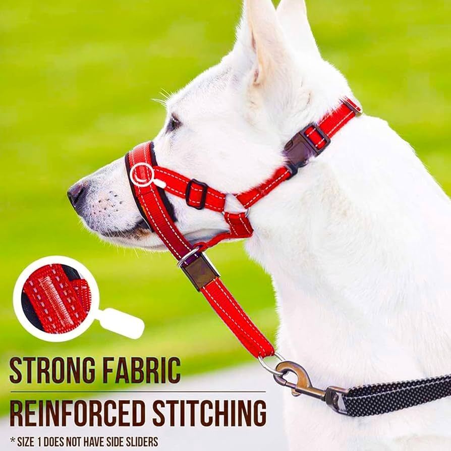 Red adjustable nylon anti-bark dog muzzle and head halter by TrendyPet's Zone, showing the secure fit and durable design.