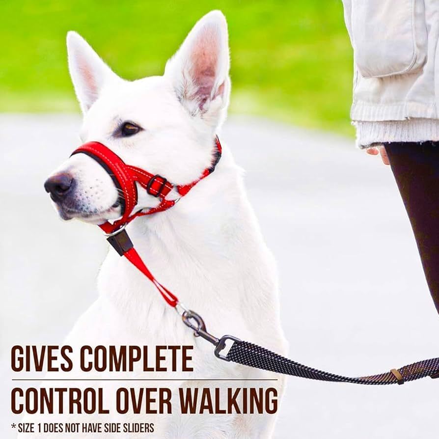 Red adjustable nylon anti-bark dog muzzle and head halter, designed to control barking and ensure safety for dogs.