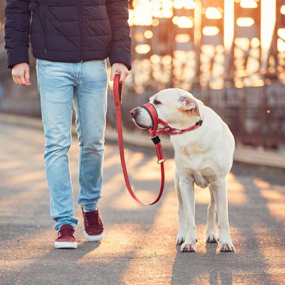 Red adjustable nylon anti-bark dog muzzle and head halter from TrendyPet's Zone, designed to control barking and ensure safety.