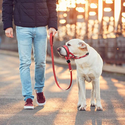 Red adjustable nylon anti-bark dog muzzle and head halter from TrendyPet's Zone, designed to control barking and ensure safety.