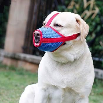 Red and blue adjustable mesh muzzle for small to large dogs, made by TrendyPet's Zone, showing the breathable design and secure fit.