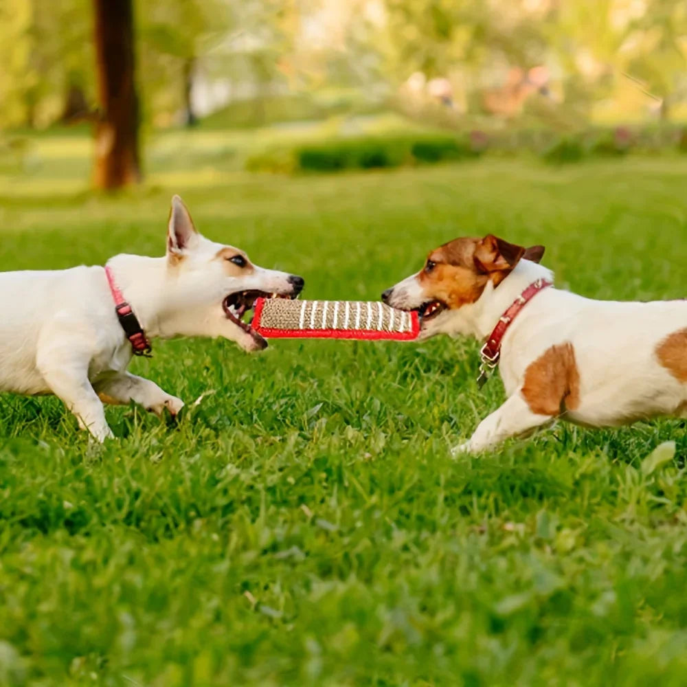 Red dog bite tug toy from TrendyPet's Zone designed for dental health and teething relief, made of durable red material.