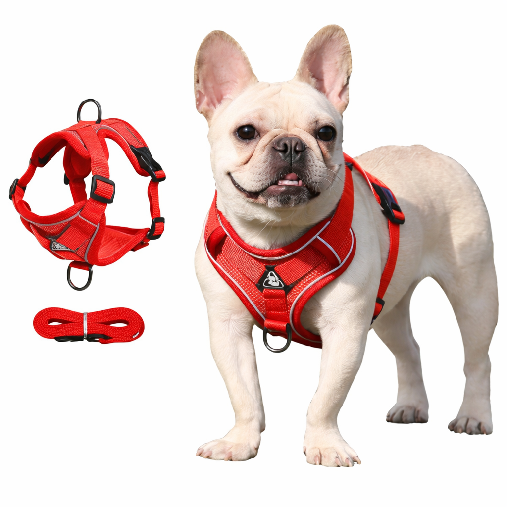 Red dog harness and leash set with reflective breathable vest and adjustable chest strap, designed for comfort and visibility.