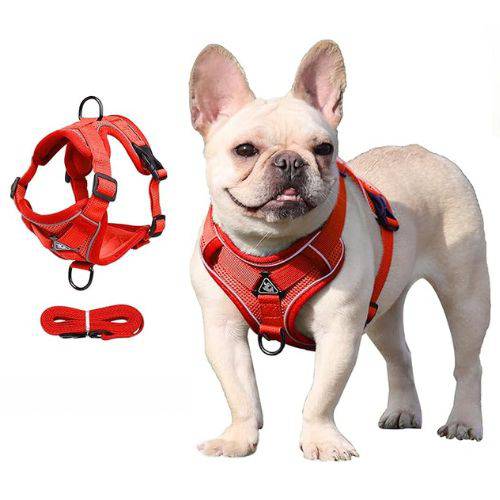Red Dog Harness Leash Set Reflective Breathable Vest Adjustable Chest Strap - TrendyPet's Zone