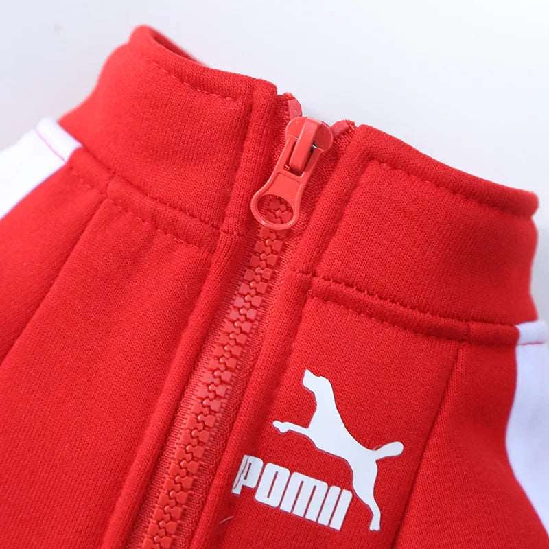 Red Luxury Dog Clothes Warm Fashion Pet Sweatshirt - TrendyPet's Zone