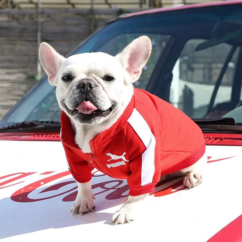 Red Luxury Dog Clothes Warm Fashion Pet Sweatshirt - TrendyPet's Zone