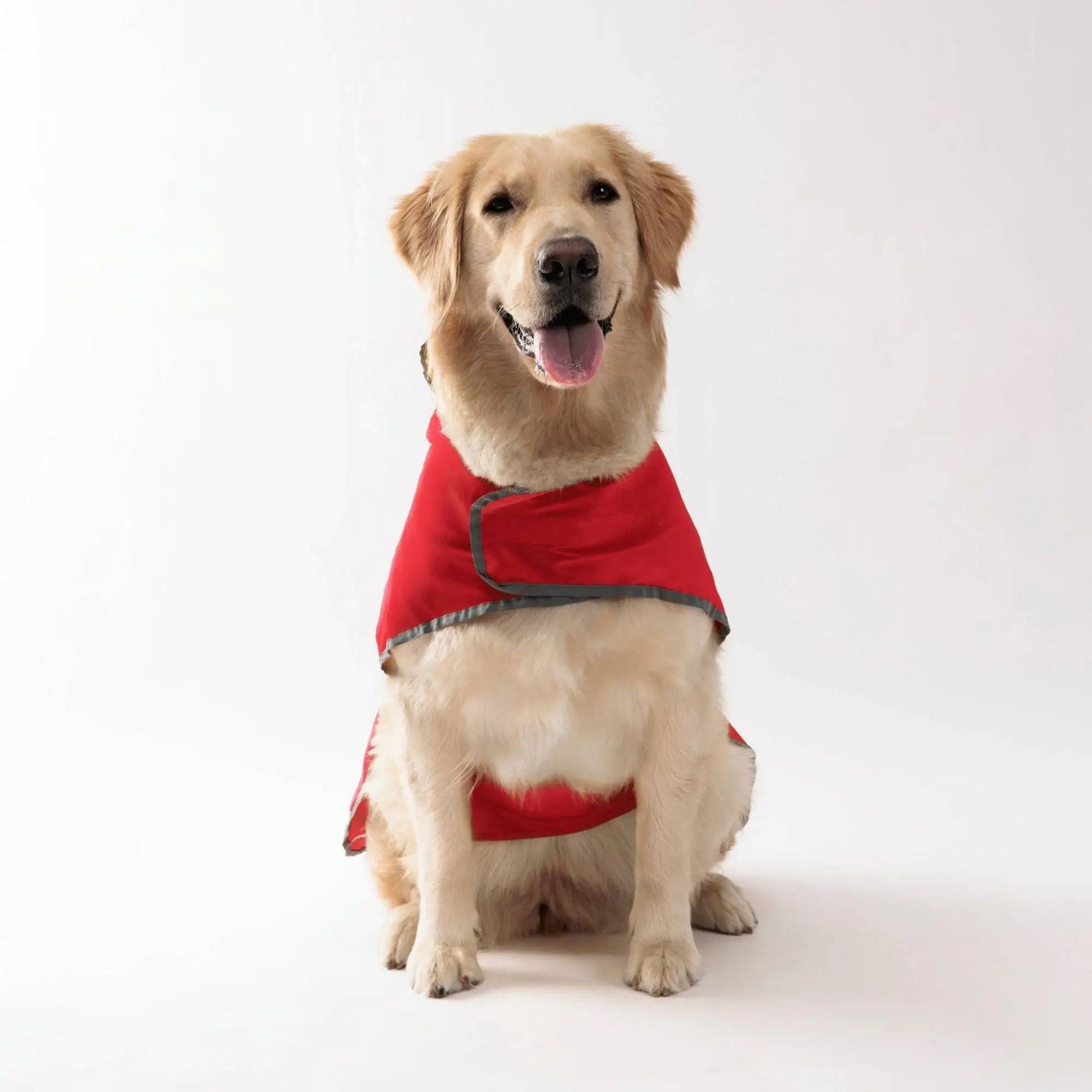 Red waterproof dog raincoat with quick-adjust dual-sided design from TrendyPet's Zone, suitable for all weather conditions.