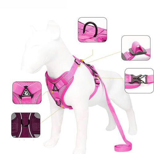 Rose Red Dog Harness Leash Set Reflective Breathable Vest Adjustable Chest Strap - TrendyPet's Zone