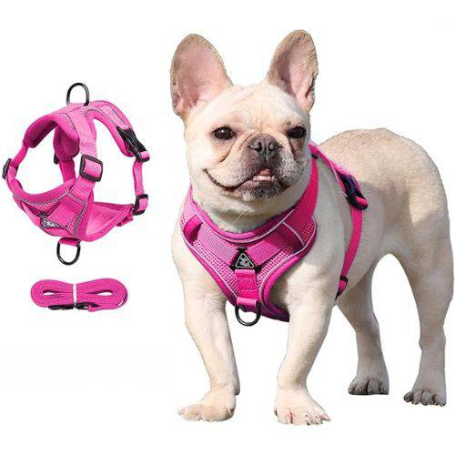 Rose Red Dog Harness Leash Set Reflective Breathable Vest Adjustable Chest Strap - TrendyPet's Zone