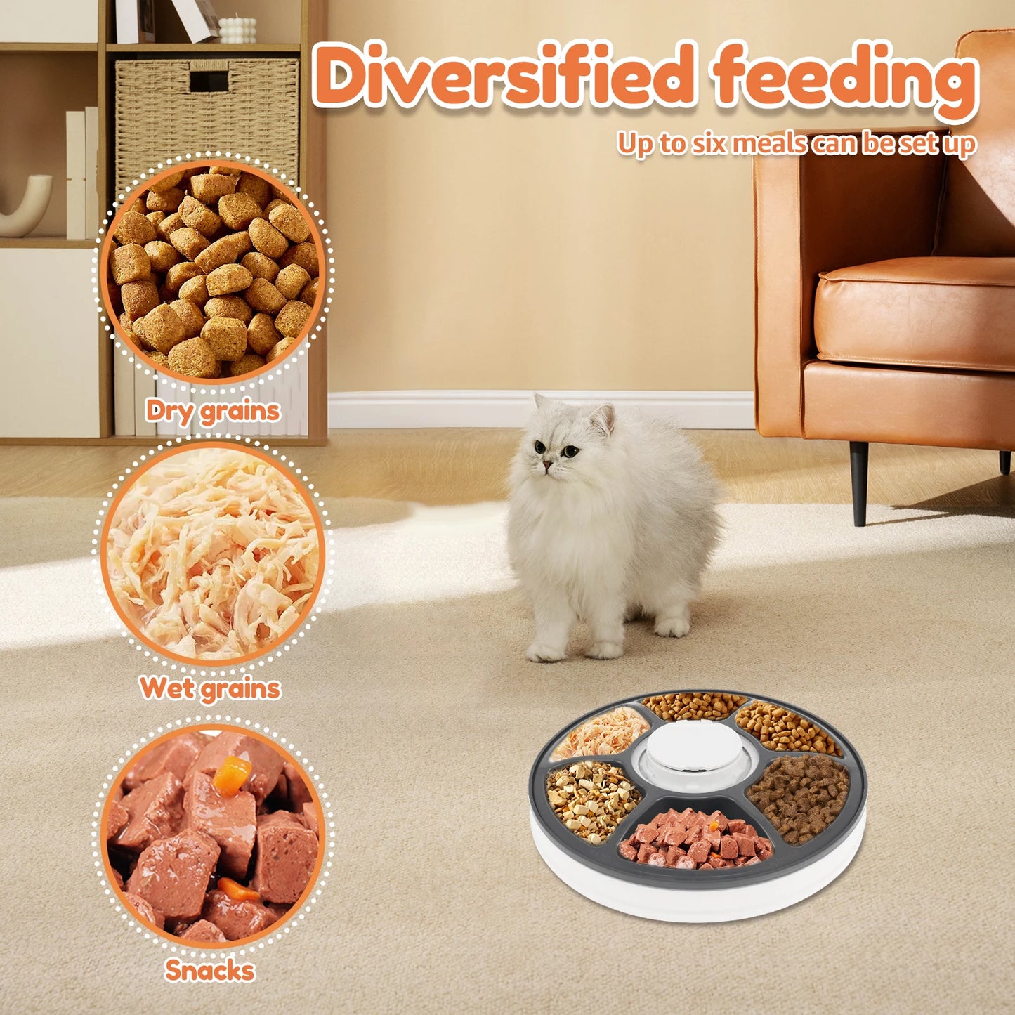 TrendyPet's Zone six-grid stainless steel automatic pet feeder with LCD display and voice recording for easy pet food dispensing.