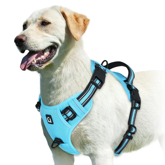 Sky blue TrendyPet's Zone no-pull adjustable dog harness with easy control handle on a dog.