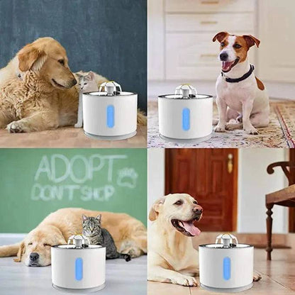 Steel cat and dog water fountain with active carbon filter, automatic electric dispenser, USB powered, for fresh pet hydration.
