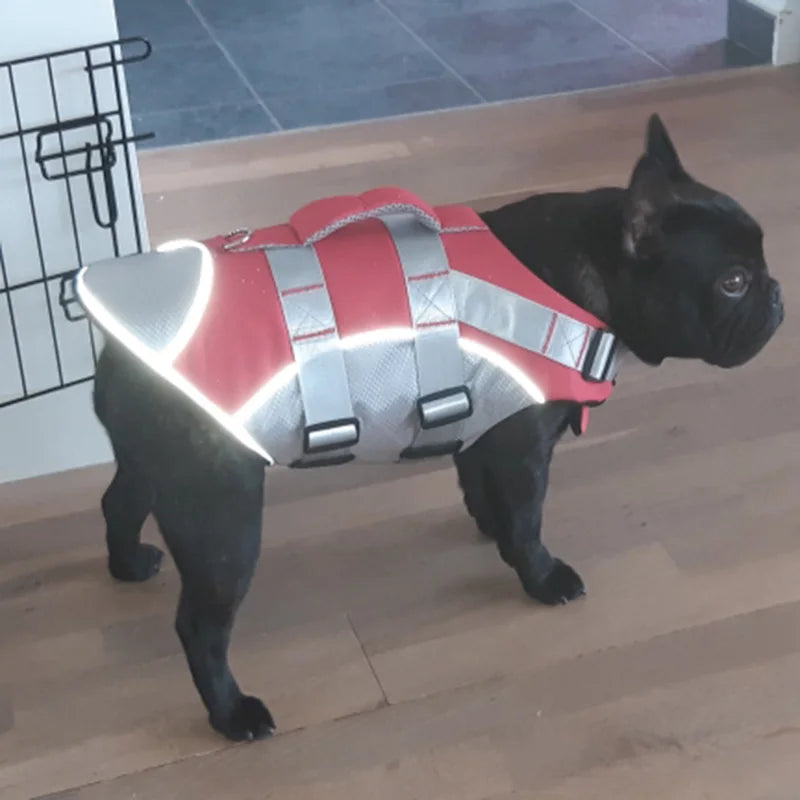 Reflective dog life jacket from TrendyPet's Zone, stylish summer swim suit for dogs with adjustable straps and bright safety colors.