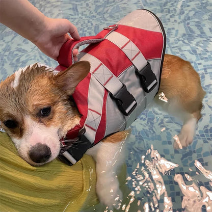 Reflective dog life jacket from TrendyPet's Zone, summer swim suit for dogs, adjustable straps, bright colors, and safety reflective material.