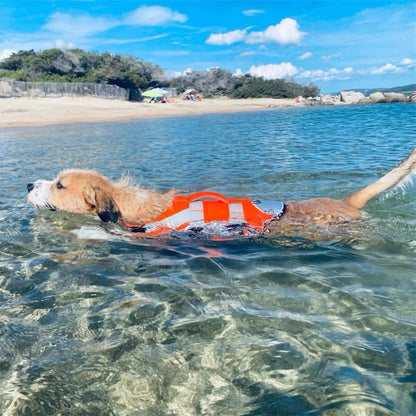 Reflective dog life jacket from TrendyPet's Zone, stylish summer swim suit for dogs with adjustable straps and bright reflective material.