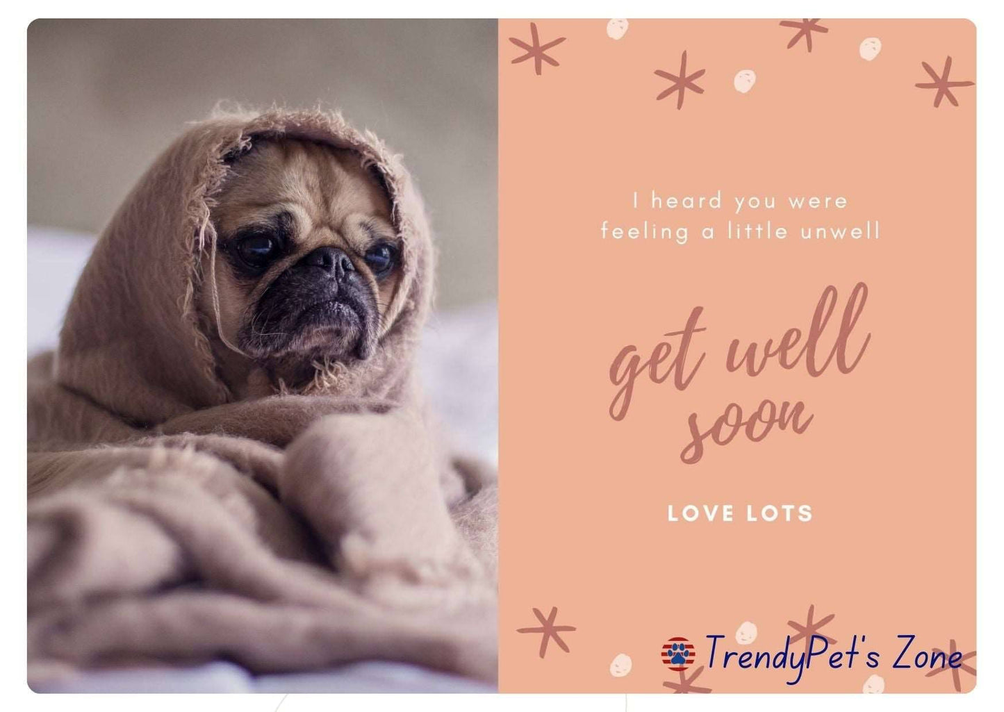 TrendyPet's Zone gift card displaying a colorful design, ideal for pet lovers to give as a thoughtful gift.