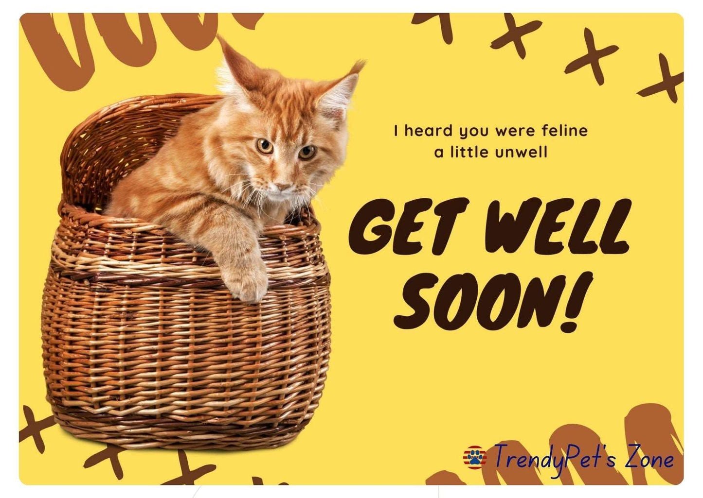 TrendyPet's Zone gift card featuring colorful branding and a sleek design, ideal for pet lovers and gift recipients.