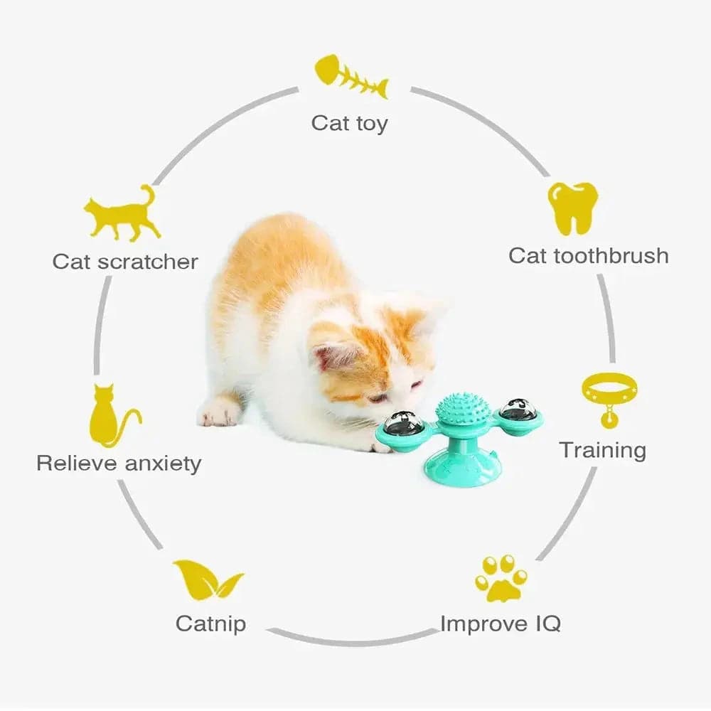 Turquoise Cat Toy Turntable Built-in Rotating LED Lights  Suction Cup Base - TrendyPet's Zone