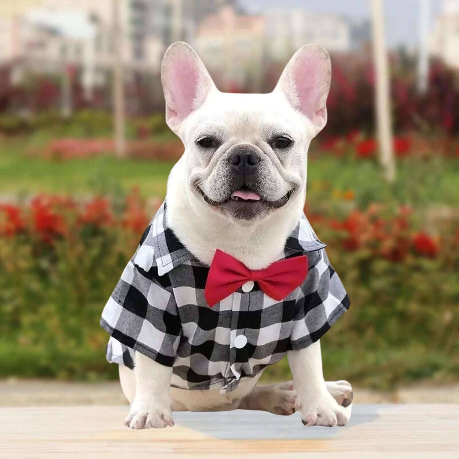 White Bowtie Dog Shirts Classical Plaid Thin Breathable Summer Clothes for Small Large Dogs Puppy Vest Chihuahua Yorkies - TrendyPet's Zone
