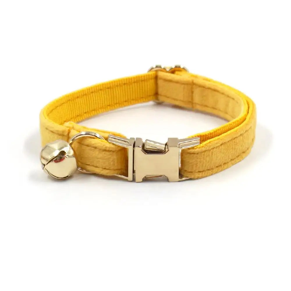 Yellow TrendyPet's Zone small dog collar with bell and personalized engraved ID tag for puppies, kittens, and small dog breeds.