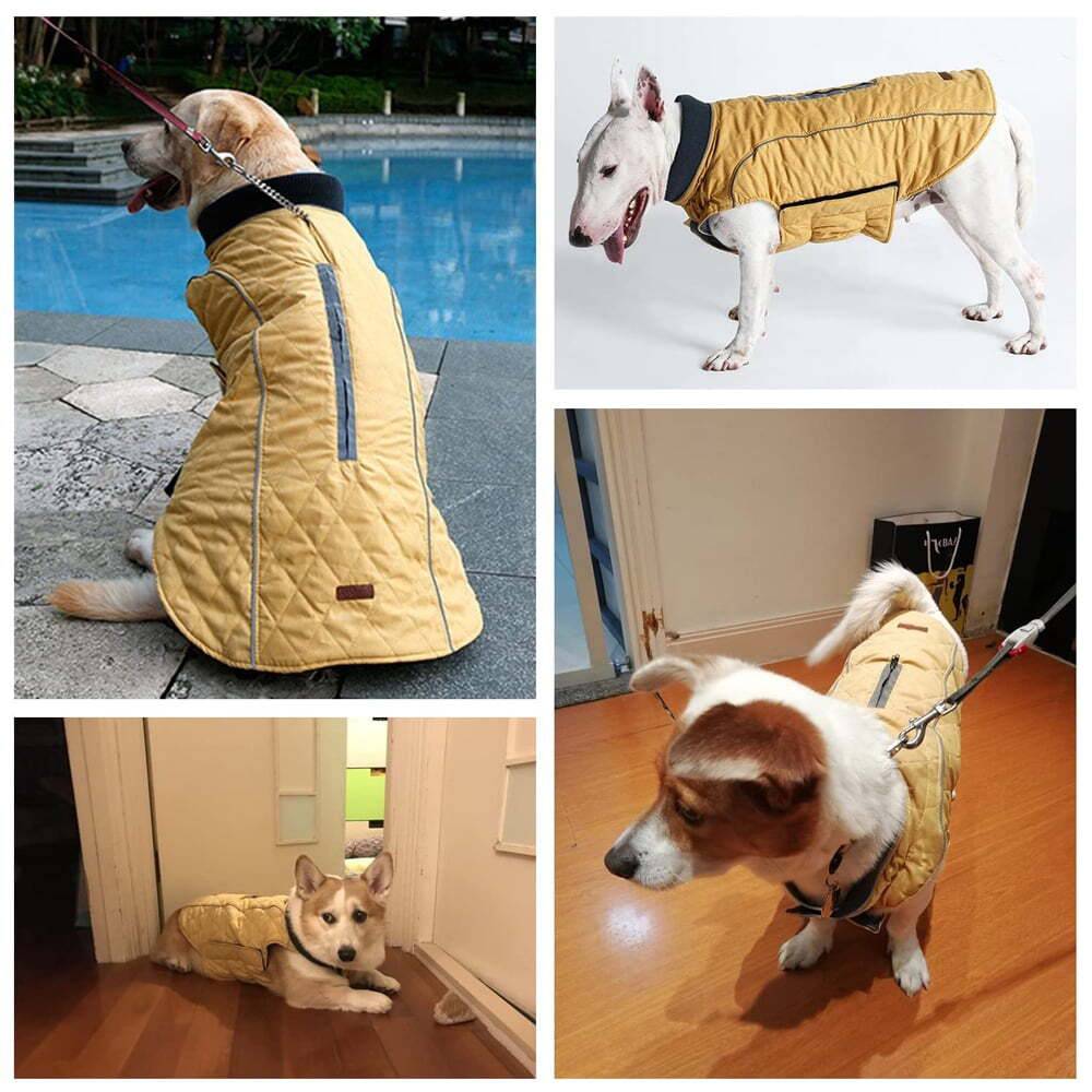 Yellow cozy quilted dog coat from TrendyPet's Zone, warm and retro thick jacket for small dogs.