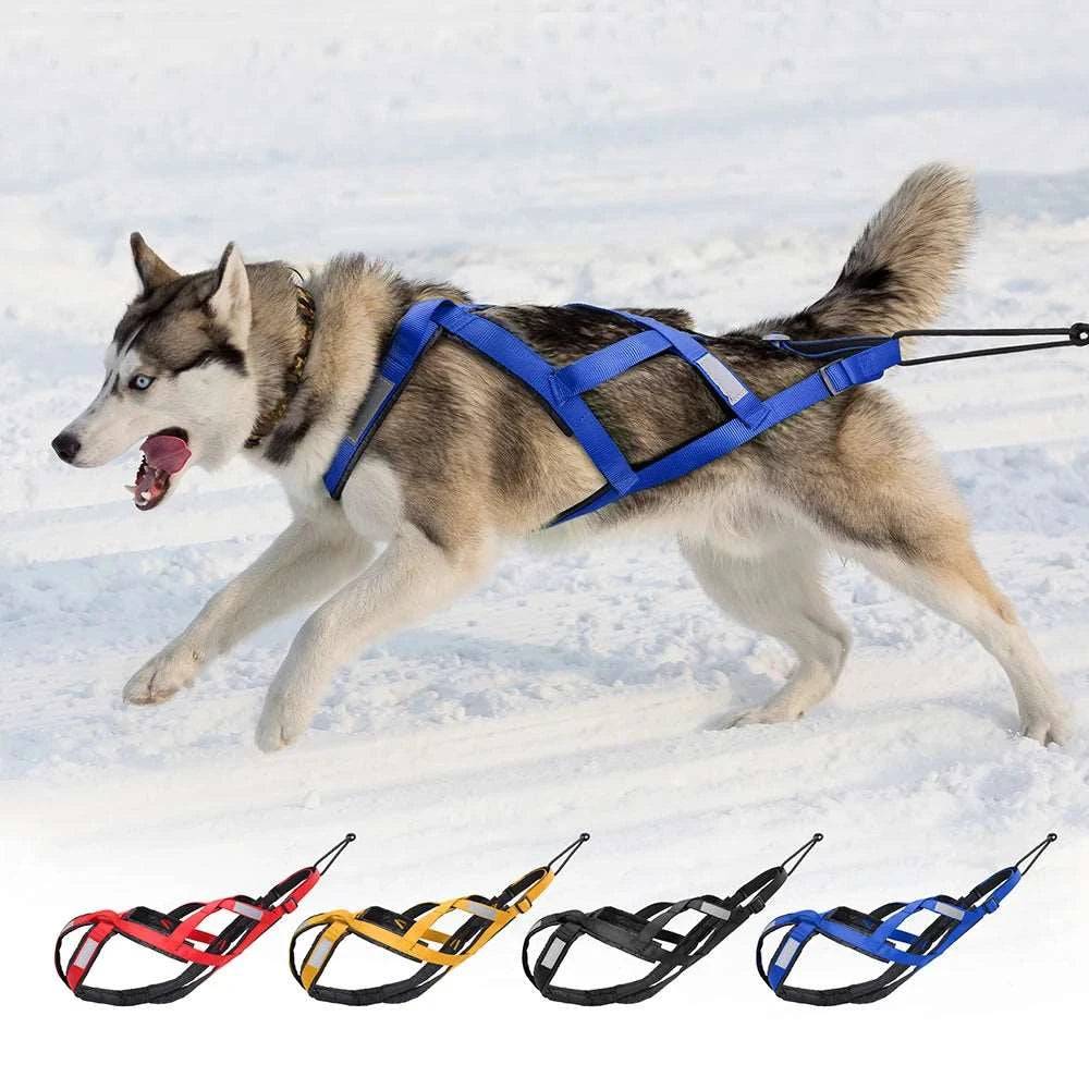 Yellow dog sledding harness by TrendyPet's Zone, waterproof, reflective, large size for skijoring, weight pulling, and pet training.