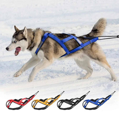 Yellow dog sledding harness by TrendyPet's Zone, waterproof, reflective, large size for skijoring, weight pulling, and pet training.