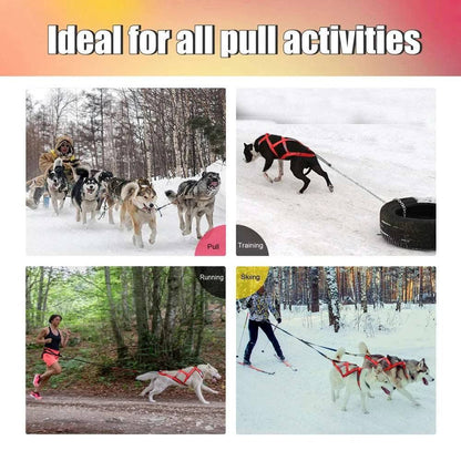 Yellow Dog Sledding Harness Reflective Pet Skijoring Harness Waterproof Big Large Dogs Weight Pulling Vest For Pet Training - TrendyPet's Zone