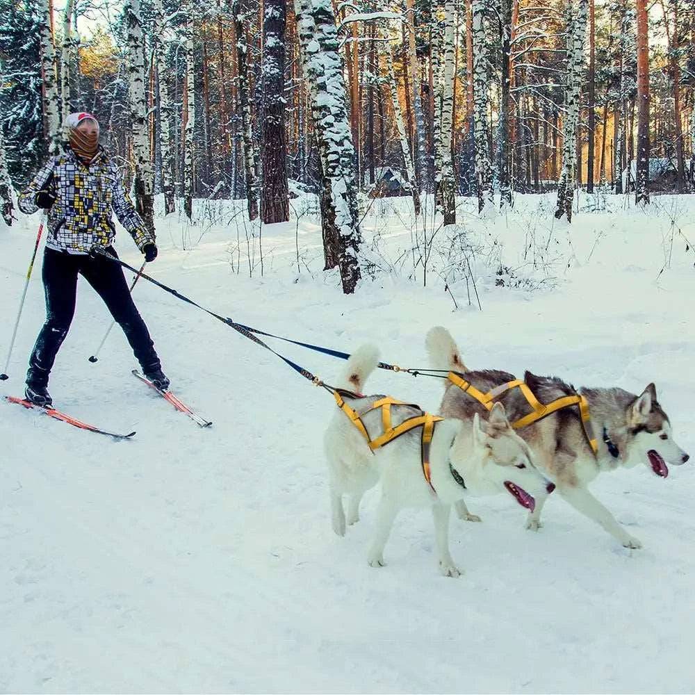 Yellow Dog Sledding Harness Reflective Pet Skijoring Harness Waterproof Big Large Dogs Weight Pulling Vest For Pet Training - TrendyPet's Zone