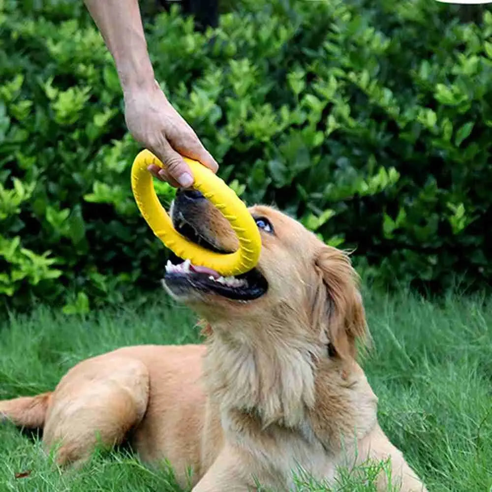 Yellow Interactive Floating Dog Toy Ring for Chewing & Fetching TrendyPet's Zone