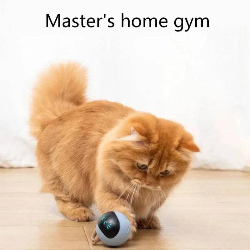 Yellow Interactive Smart Cat Toy Colorful LED Self Rotating Pet Ball Toys USB Rechargeable Kitten Automatic Ball Toys Cat Accessories - TrendyPet's Zone