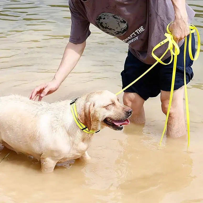 Yellow PVC dog collar with reflective stripe, anti-odor, adjustable fit, from TrendyPet's Zone, designed for pet safety and comfort.