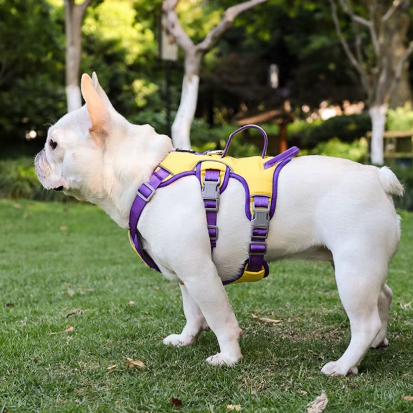 Yellow reflective adjustable dog harness by TrendyPet's Zone, no-pull design, breathable for small to large dogs, ideal for outdoor walks.